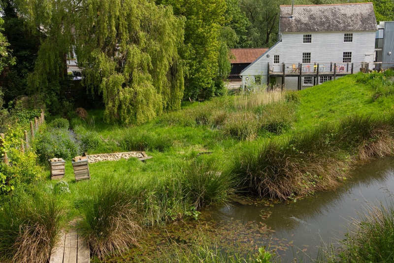 Cannock Mill Cohousing Gardens